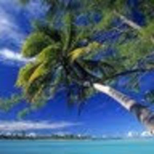 Meet your Posher, Skylar